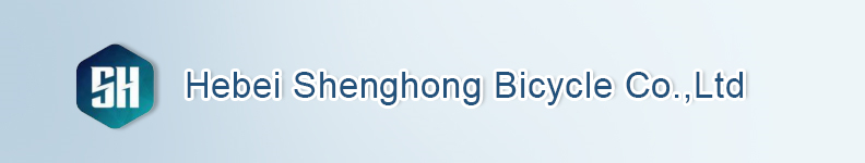 Hebei Shenghong Bicycle Co.,Ltd